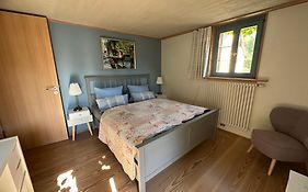 Rose Cottage im romantischen Taubertal